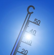 canicule termo